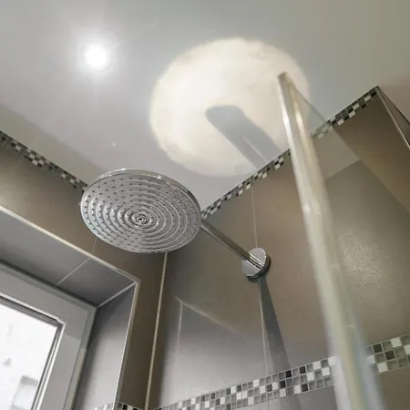 Baltic House Muschel